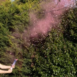 Ginger Ray Gender Reveal Smoke Cannon - Pink