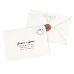 Sorcerer's Apprentice Napkins