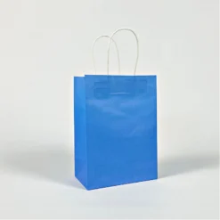 Party Bags WIth Handles - Blue (6 Pack)