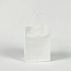 Party Bags WIth Handles - White (6 Pack)