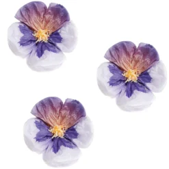 Lilac Paper Pansies - 15cm (3 Pack)