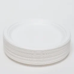 Compostable Bagasse Plates 9"