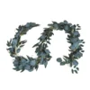 Eucalyptus Garland 2m
