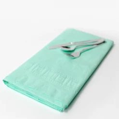 Large Mint Paper Tablecloth