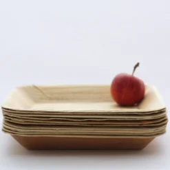 Palm Leaf Square Plates